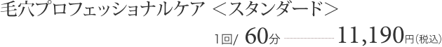 毛穴プロフェッショナルケア ＜スタンダード＞ １回60分-11,190円（税込）