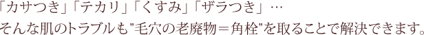 「カサつき」「テカリ」「くすみ」「ザラつき」…そんな肌のトラブルも“毛穴の老廃物＝角栓”を取ることで解決できます。
