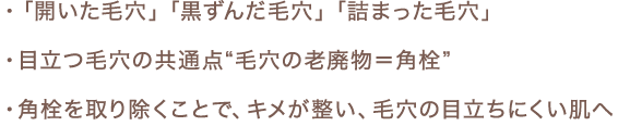 ・「開いた毛穴」「黒ずんだ毛穴」「詰まった毛穴」　・目立つ毛穴の共通点“毛穴の老廃物＝角栓”　・角栓を取り除くことで、キメが整い、毛穴の目立ちにくい肌へ