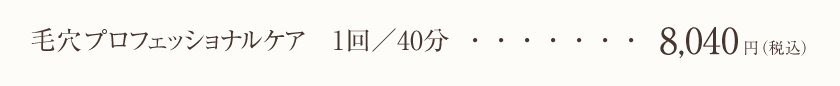 毛穴プロフェッショナルケア　1回／40分…8,040円（税込）