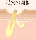 毛穴の開き